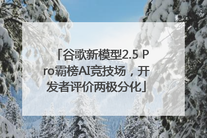 谷歌新模型2.5 Pro霸榜AI竞技场，开发者评价两极分化