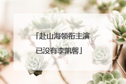赴山海领衔主演已没有李凯馨