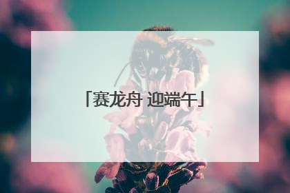 赛龙舟 迎端午