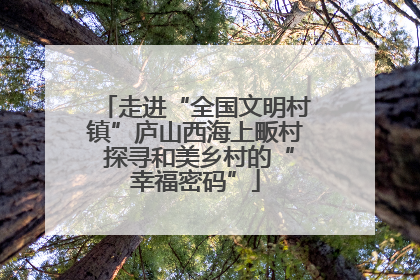 走进“全国文明村镇”庐山西海上畈村 探寻和美乡村的“幸福密码”