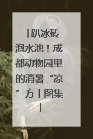 趴冰砖 泡水池！成都动物园里的消暑“凉”方丨图集