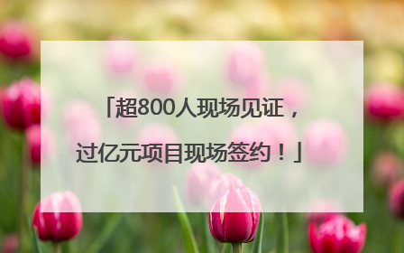 超800人现场见证，过亿元项目现场签约！