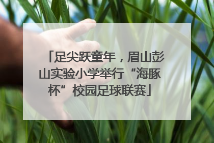 足尖跃童年，眉山彭山实验小学举行“海豚杯”校园足球联赛