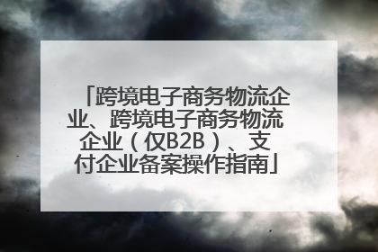 跨境电子商务物流企业、跨境电子商务物流企业（仅B2B）、支付企业备案操作指南