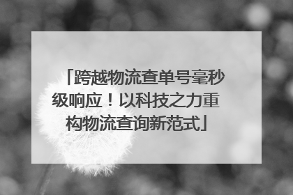 跨越物流查单号毫秒级响应！以科技之力重构物流查询新范式