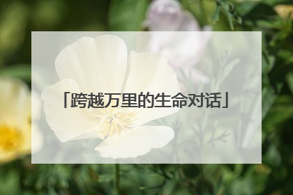 跨越万里的生命对话