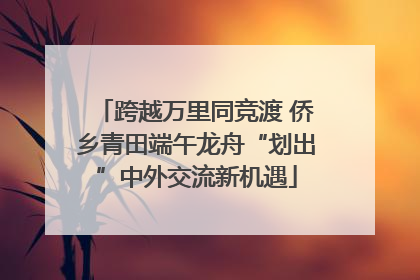 跨越万里同竞渡 侨乡青田端午龙舟“划出”中外交流新机遇