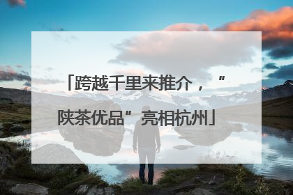 跨越千里来推介，“陕茶优品”亮相杭州
