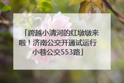 跨越小清河的红墩墩来啦！济南公交开通试运行小巷公交553路