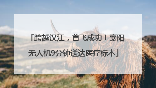 跨越汉江，首飞成功！襄阳无人机9分钟送达医疗标本