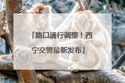 路口通行调整！西宁交警最新发布
