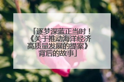逐梦深蓝正当时！《关于推动海洋经济高质量发展的提案》背后的故事