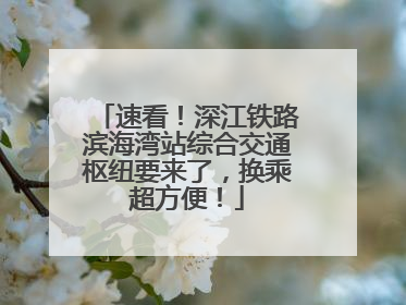 速看！深江铁路滨海湾站综合交通枢纽要来了，换乘超方便！
