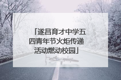 遂昌育才中学五四青年节火炬传递活动燃动校园