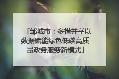 邹城市：多措并举以数据赋能绿色低碳高质量政务服务新模式