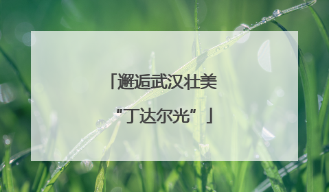 邂逅武汉壮美“丁达尔光”