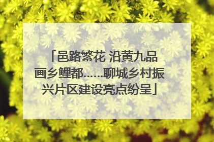 邑路繁花 沿黄九品 画乡鲤都……聊城乡村振兴片区建设亮点纷呈