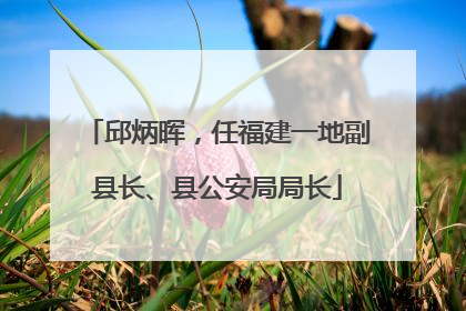 邱炳晖，任福建一地副县长、县公安局局长