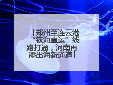 郑州至连云港“铁海直运”线路打通，河南再添出海新通道