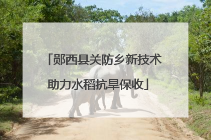 郧西县关防乡新技术助力水稻抗旱保收