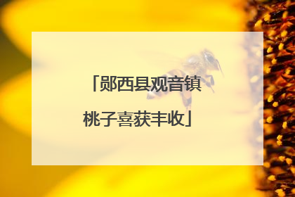 郧西县观音镇桃子喜获丰收