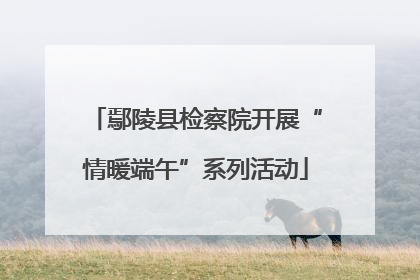 鄢陵县检察院开展“情暖端午”系列活动