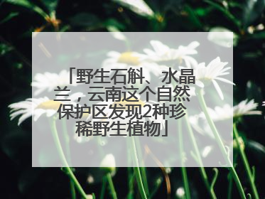 野生石斛、水晶兰，云南这个自然保护区发现2种珍稀野生植物