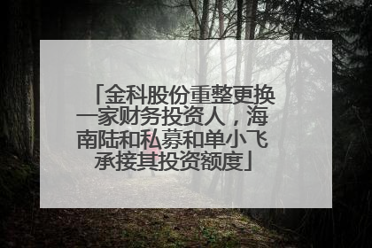 金科股份重整更换一家财务投资人，海南陆和私募和单小飞承接其投资额度