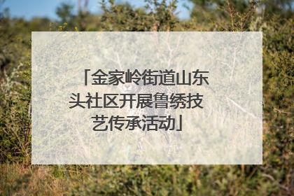 金家岭街道山东头社区开展鲁绣技艺传承活动