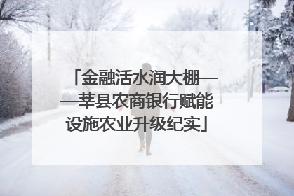 金融活水润大棚——莘县农商银行赋能设施农业升级纪实