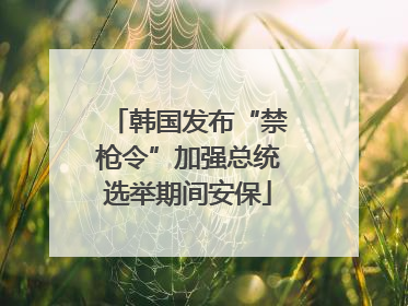 韩国发布“禁枪令”加强总统选举期间安保