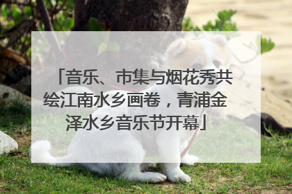音乐、市集与烟花秀共绘江南水乡画卷，青浦金泽水乡音乐节开幕