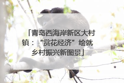 青岛西海岸新区大村镇：“赏花经济”绘就乡村振兴新图景