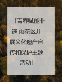 青春赋能非遗 雨花区开展文化遗产宣传和保护主题活动