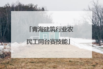 青海建筑行业农民工同台赛技能