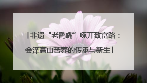 非遗“老鹳嘴”啄开致富路：会泽高山苦荞的传承与新生
