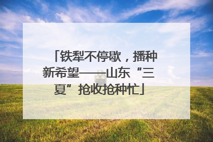 铁犁不停歇，播种新希望——山东“三夏”抢收抢种忙