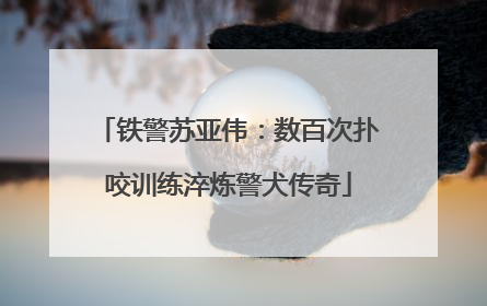 铁警苏亚伟：数百次扑咬训练淬炼警犬传奇
