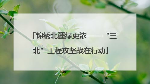 锦绣北疆绿更浓——“三北”工程攻坚战在行动