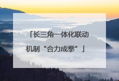 长三角一体化联动机制“合力成拳”