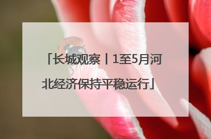 长城观察丨1至5月河北经济保持平稳运行