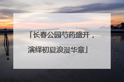 长春公园芍药盛开，演绎初夏浪漫华章