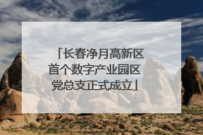长春净月高新区首个数字产业园区党总支正式成立