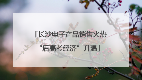 长沙电子产品销售火热 “后高考经济”升温