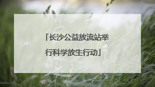 长沙公益放流站举行科学放生行动