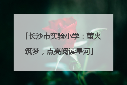 长沙市实验小学：萤火筑梦，点亮阅读星河