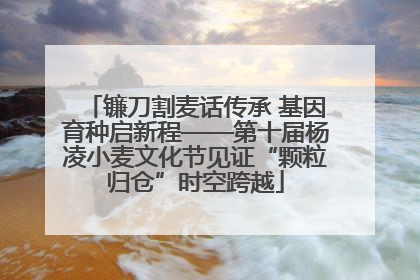 镰刀割麦话传承 基因育种启新程——第十届杨凌小麦文化节见证“颗粒归仓”时空跨越
