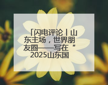 闪电评论丨山东主场，世界朋友圈——写在“2025山东国际友城合作交流周”之际