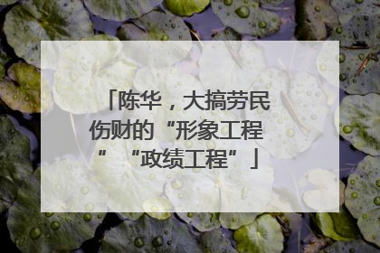 陈华，大搞劳民伤财的“形象工程”“政绩工程”