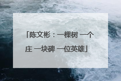 陈文彬：一棵树 一个庄 一块碑 一位英雄